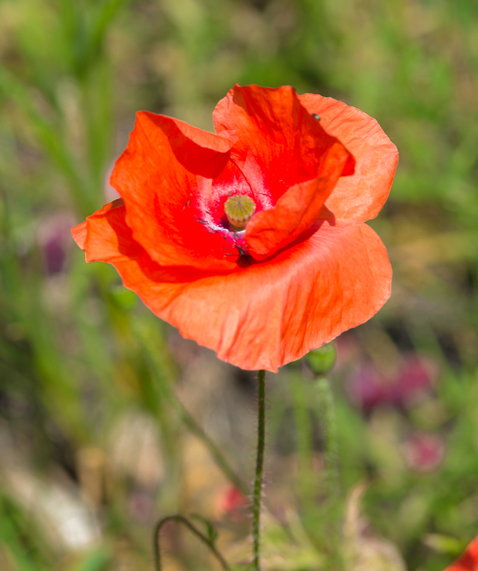 Stacks Image 1766